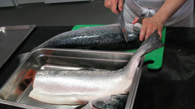 三文鱼鲜美图片