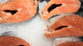 三文鱼鲜美图片