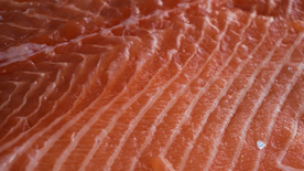 三文鱼鲜美图片