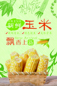 新鲜玉米宣传海报
