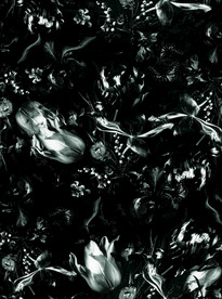 大牌男装单色花