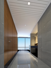 卫生间 豪宅 浴缸 条形梳妆台