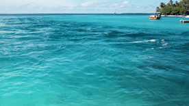 马尔代夫沙滩海岸图片