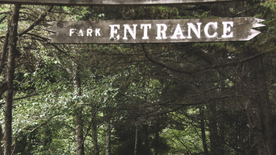 红杉红木林图片