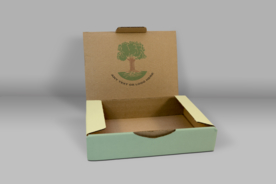 纸盒样机