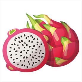 火龙果矢量图