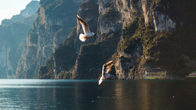 加尔达湖风景图片