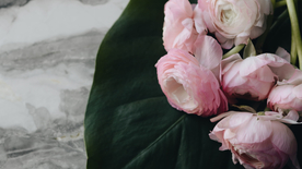 樱花桃花唯美图片