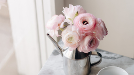 樱花桃花唯美图片