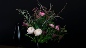 花毛茛盛开图片