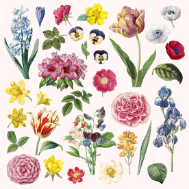 植物复古花卉矢量合集