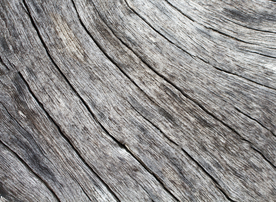 木头纹理