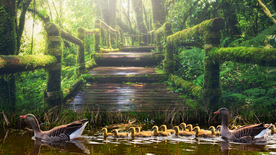 鸭子空山鸟语图片