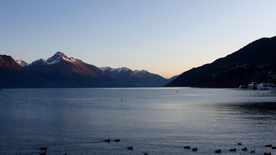 鸭子空山鸟语图片