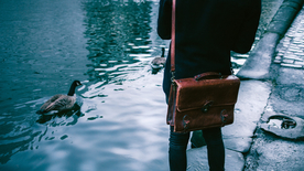 鸭子空山鸟语图片