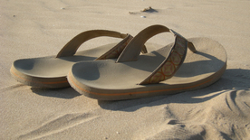 拖鞋人字拖图片