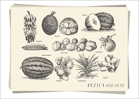 10款入水果素描画