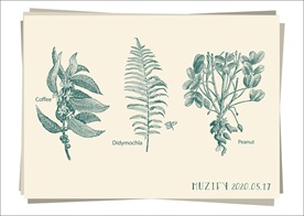 3款入植物素描画