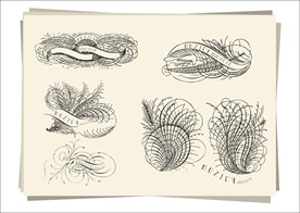 6款入花边 边框设计