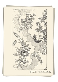 月季花 花卉底纹素描画