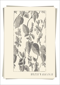 叶子 底纹手绘稿