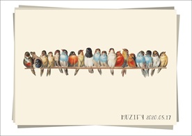 一排小鸟 彩色图稿