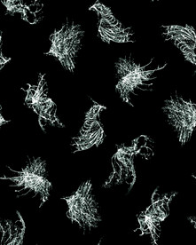 抽象线条翅膀男装