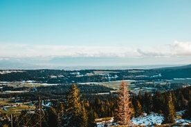 雪景冬季美景图片