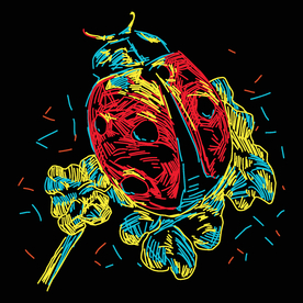 七星瓢虫简笔画