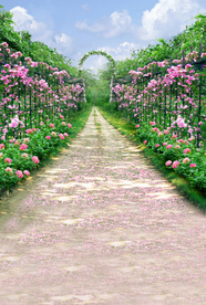 唯美鲜花小道