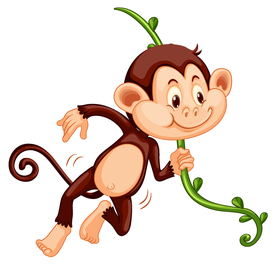 猴子