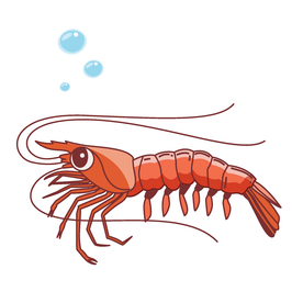 虾