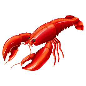 龙虾