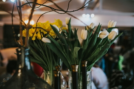 优雅的家居绿植