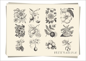 12款入水果花卉手绘稿