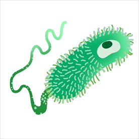 细菌 矢量细菌 卡通细菌 手绘