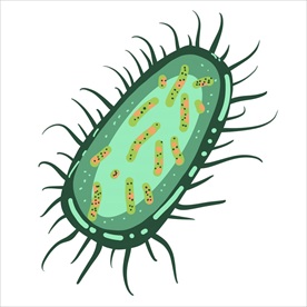 细菌 矢量细菌 卡通细菌 手绘