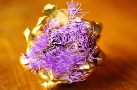 霍香蓟清新图片