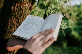 阅读看书翻书图片