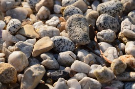 鹅卵石卵石石子图片