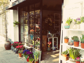 花店