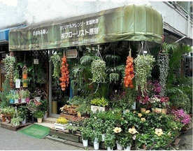 花店