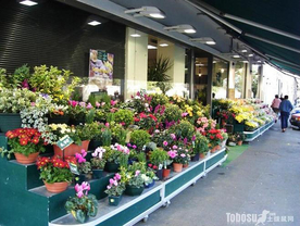 花店