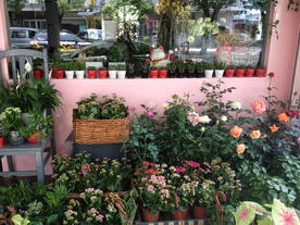 花店