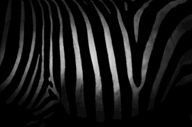 几何场景 背景 电商 主图 产