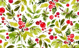 水彩绘圣诞节装饰