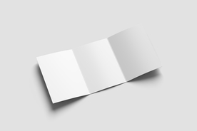 三折页 样机