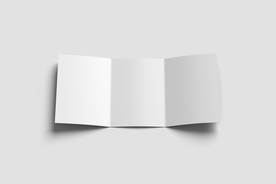 三折页 样机