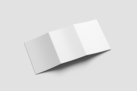 三折页 样机