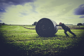 草垛麦草垛稻草垛图片